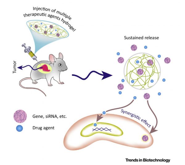 images/Cancer-medicine-600x535.jpg