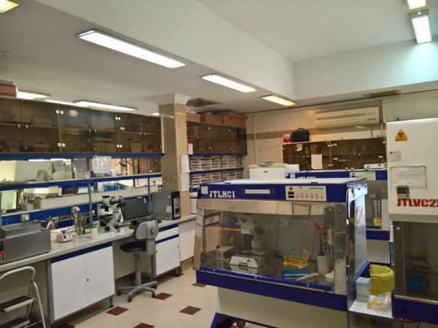 Differentiation Lab 1