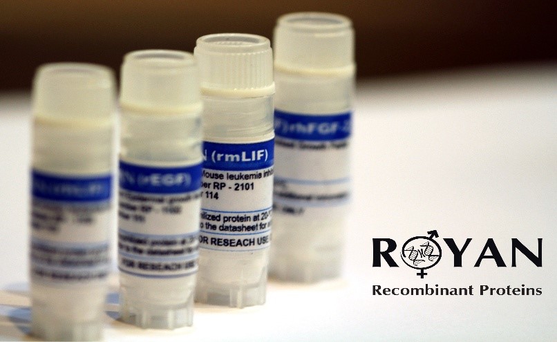 Recombinant proteins