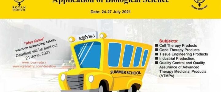 12th Royan International E-Summer School